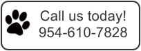 Mobile Grooming Hollywood Florida