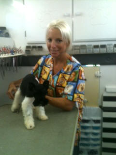 Dog Grooming