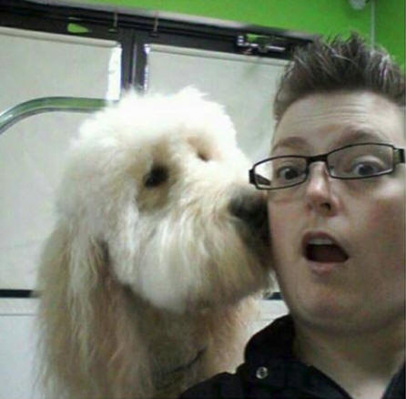 Liz - Therapy Dog