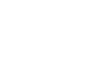 Dog Paws